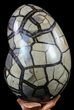 Septarian Dragon Egg Geode - Black Crystals #56400-3